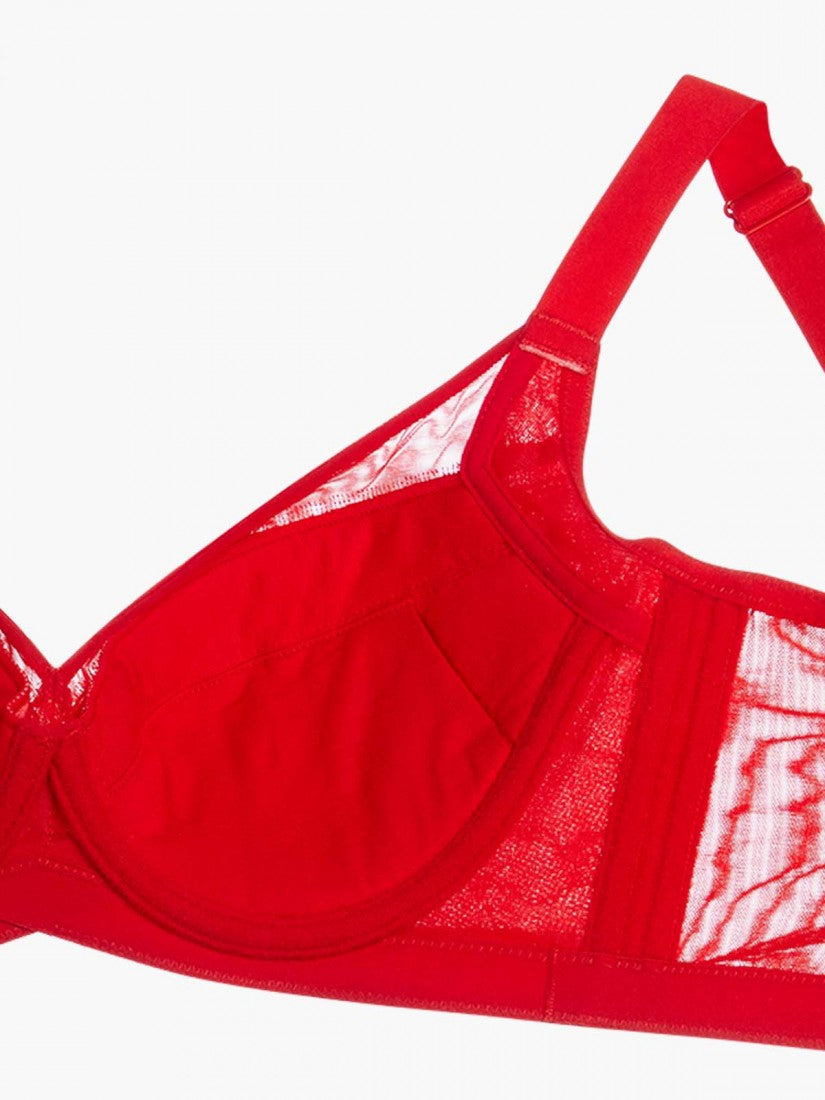 NiTi Shape-Memory Wire Soft Cup Plunge Bra ( Cup D-G )