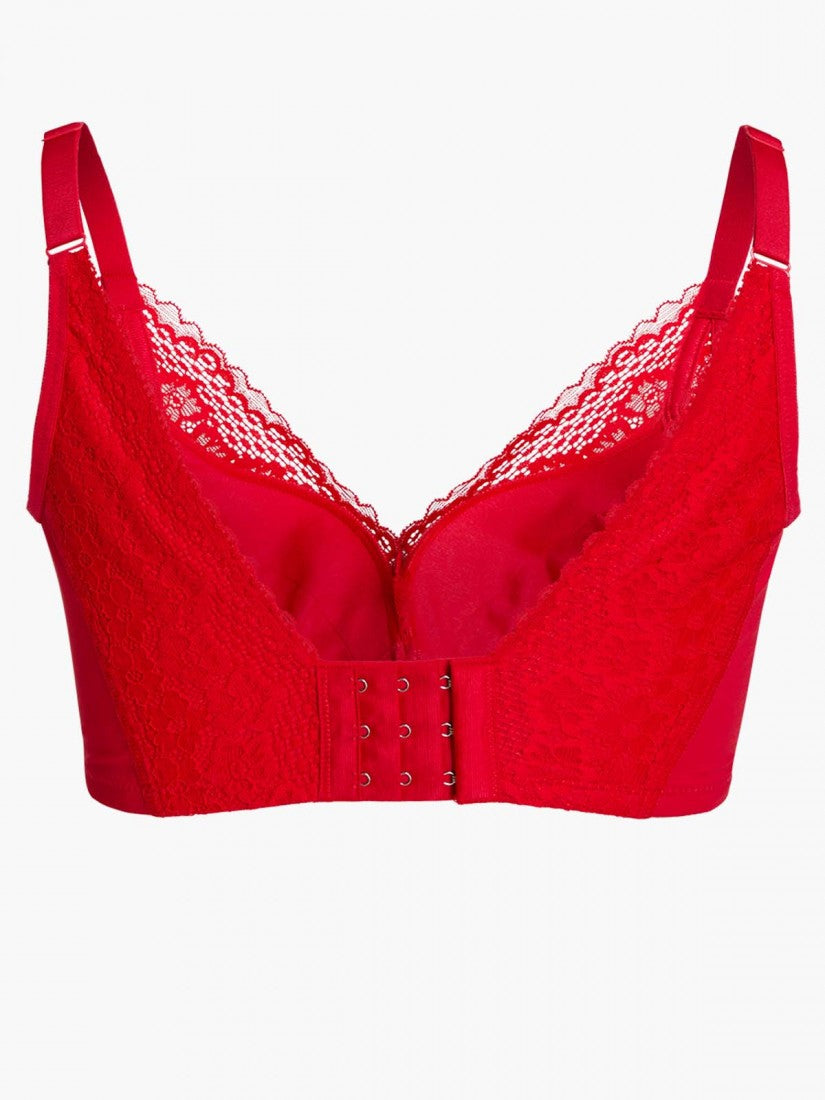 Lace Deep V Push Up Bra (Cup B-D)