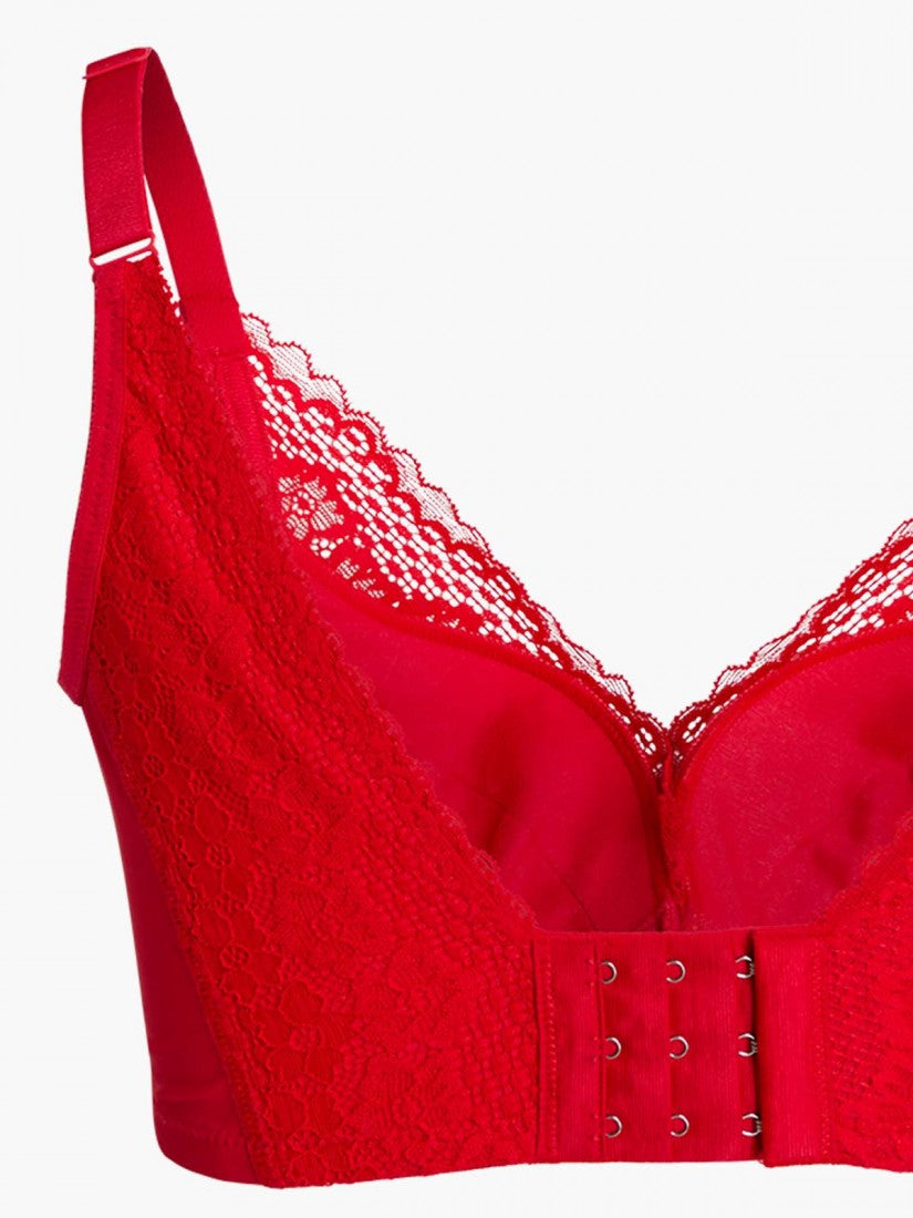 Lace Deep V Push Up Bra (Cup B-D)